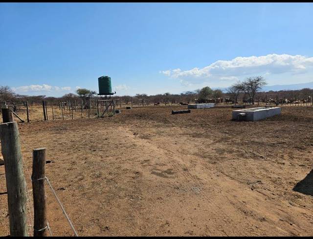 FARM FOR SALE IN LOUIS TRICHARDT RURAL
